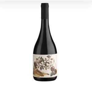 Vinho Sentidos Casa Eva Pinot Noir