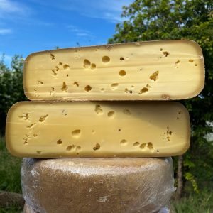 Queijo Mandala Reserva Queijista - 300g